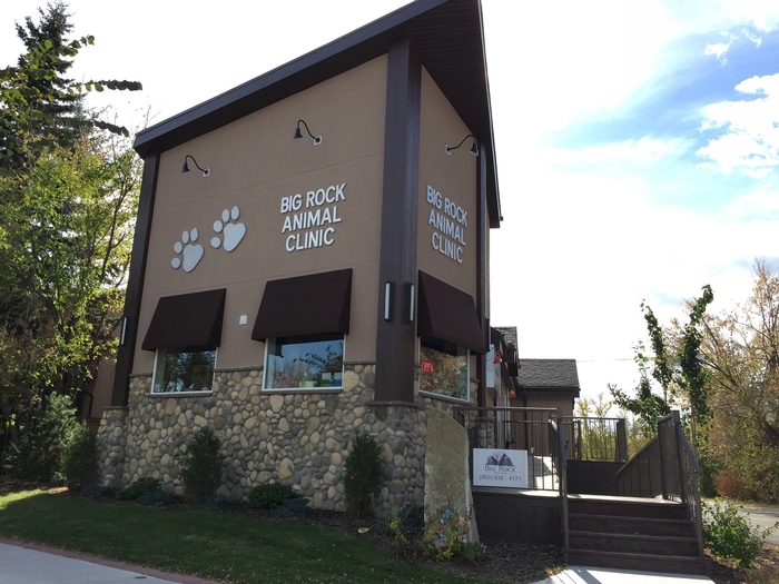 Big Rock Animal Clinic